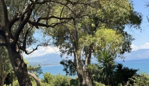 Vacances d'été Eco Energie - du 29 jUILLET au 24 aout 26